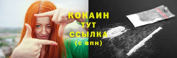 МДПВ Абаза
