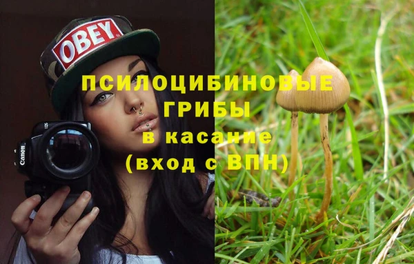МДПВ Абаза