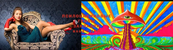 PSILOCYBIN Кодинск