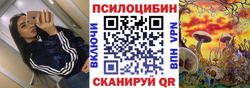 Галлюциногенные грибы Magic Shrooms  продажа наркотиков  Гаджиево 